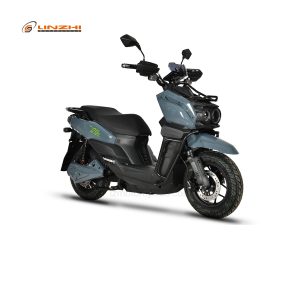 HLE2000T (2000W)-Lake placid blue