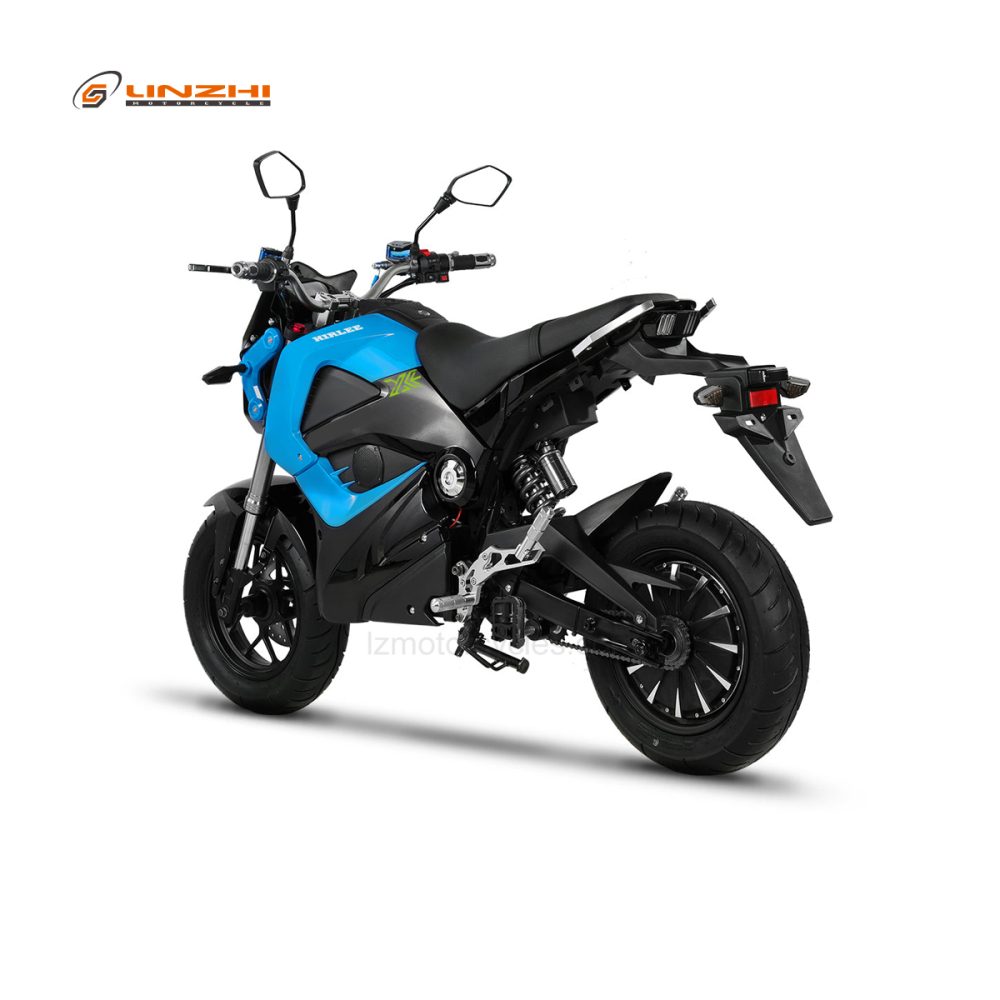 HLE2000S (M3-2000W)-Blue - Image 4