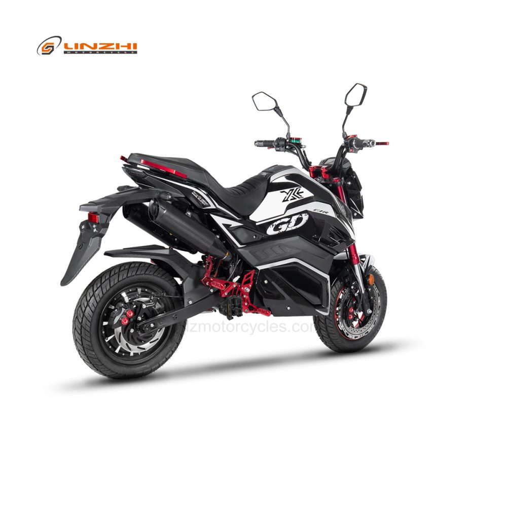 HLE2000S-2 (X7-2000W)-Black - Image 4