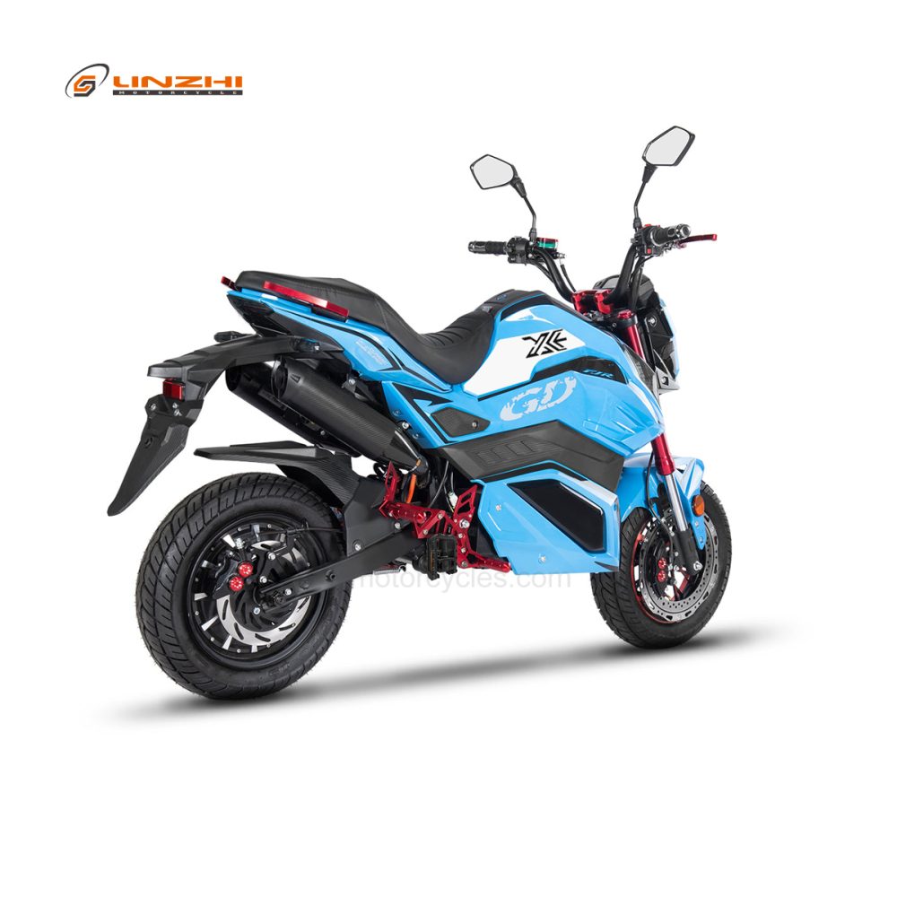 HLE2000S-2 (X7-2000W)-Blue - Image 4