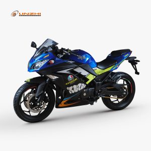 HLR400S-6-Shark painting