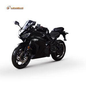 HLE3000S-2 (V6-3000W)-Black